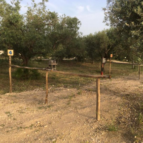 Sosta camper Adenzia Camping